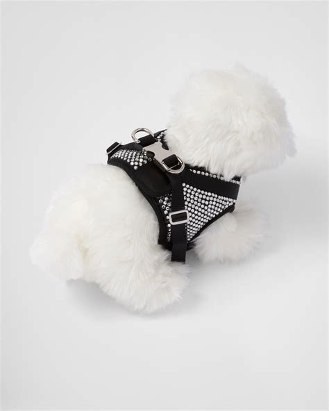 prada harness bag|Luxury Pet Accessories .